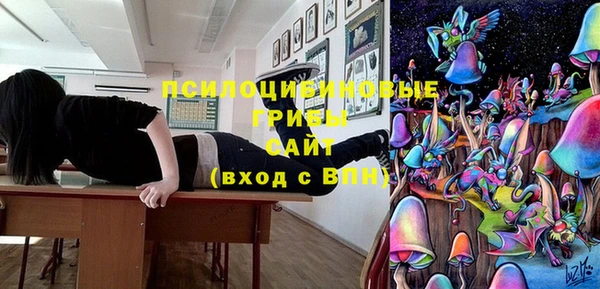 ПСИЛОЦИБИНОВЫЕ ГРИБЫ Баксан