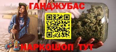 индика Гатчина