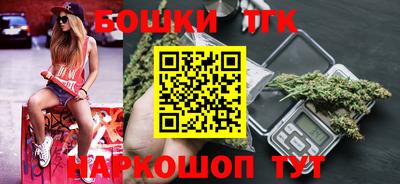 индика Гатчина