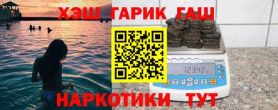 индика Гатчина