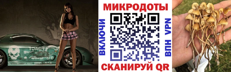 Псилоцибиновые грибы Cubensis  где найти наркотики  kraken маркетплейс  Гатчина 