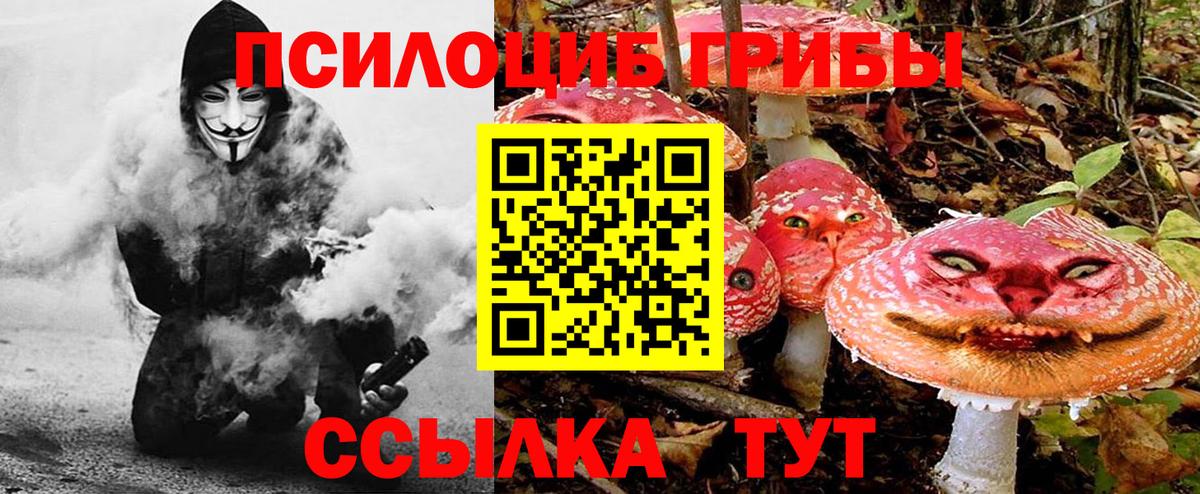 Галлюциногенные грибы прущие грибы Гатчина