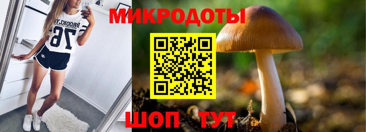 Гатчина  где купить наркоту  Вход с VPN  Псилоцибиновые грибы MAGIC MUSHROOMS 