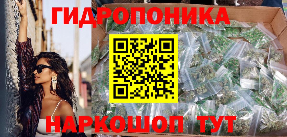 Марихуана конопля  Гатчина  Бошки марихуана White Widow 